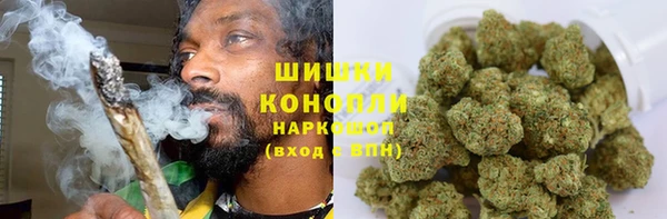 стаф Балахна