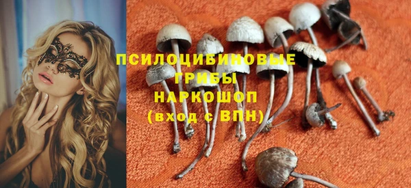 стаф Балахна