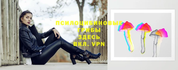 стаф Балахна