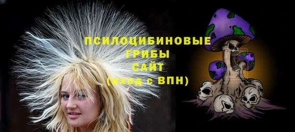 стаф Балахна