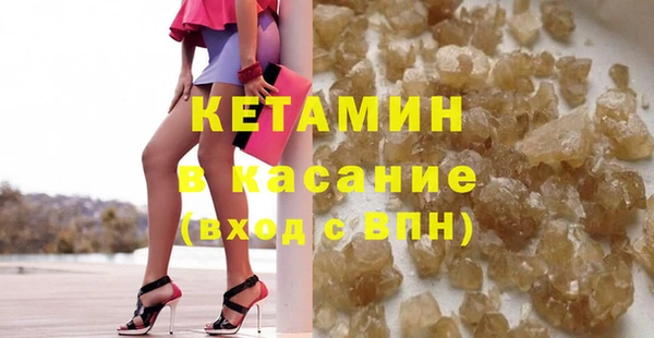 хмурый Аркадак