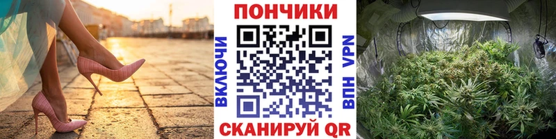 Каннабис OG Kush  купить наркоту  Колпашево 